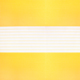 Рулонные шторы день-ночь зебра стандарт 4210 желтый, 280 см, фото